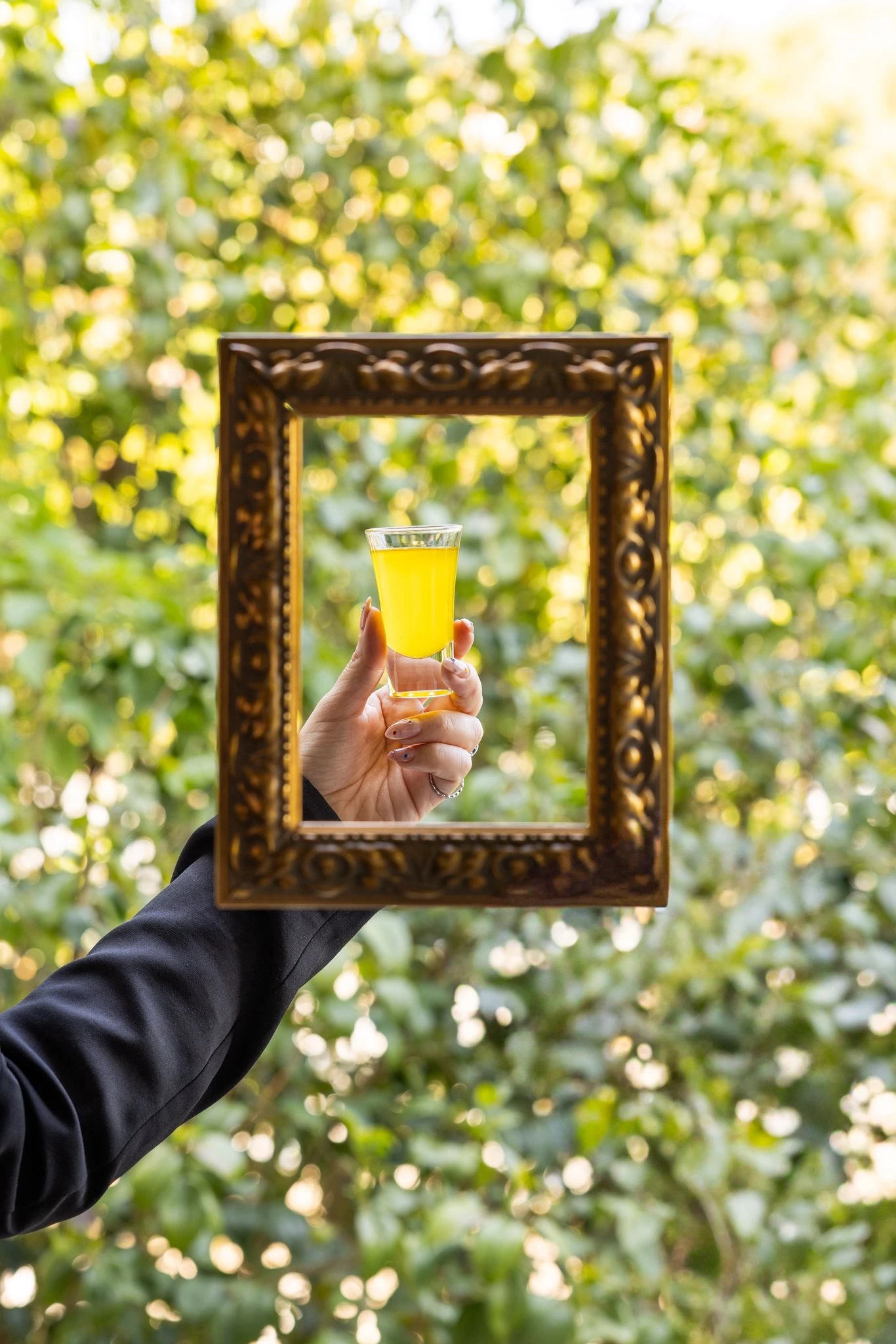 Premium İlk Hasat Naturel Sızma Zeytinyağı (3 Litre)